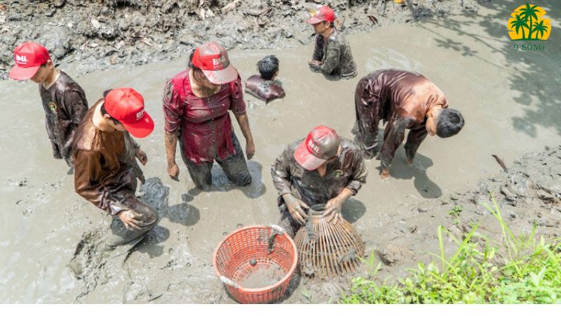 Dụng cụ cần thiết để bắt cá