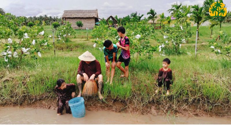 Tát mương bắt cá đậm chất miền Tây 