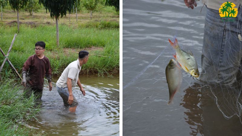 Hoạt động trong không gian xanh mát 